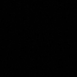 Meet your Posher, Gladys